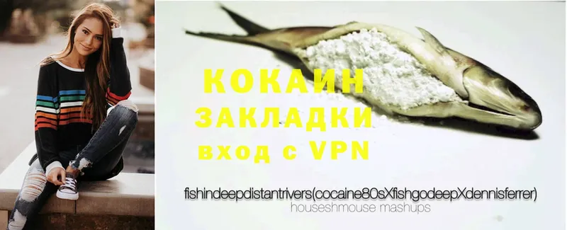 что такое наркотик  KRAKEN ссылка  Cocaine Fish Scale  Энем 